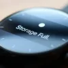 smartwatch app management