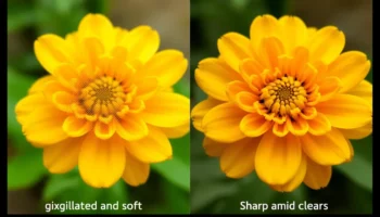 RAW vs JPEG on phone camera, camera filters and editing, HDR on smartphone