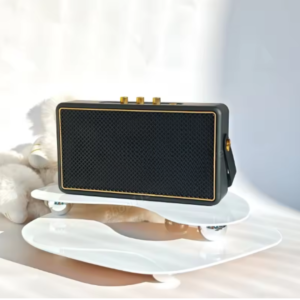 FX M18 Retro Bluetooth Speaker with Adjustable Bass